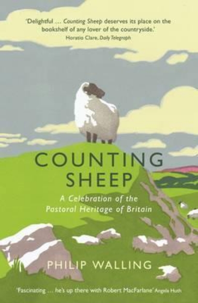Picture of Counting Sheep