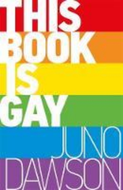Picture of This Book is Gay