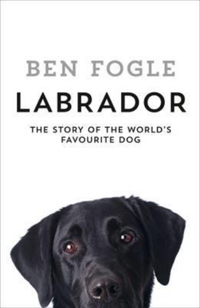 Picture of Labrador - the story of the world's favourite dog