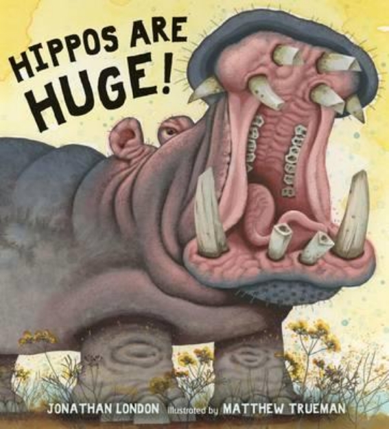 Picture of Hippos are Huge!