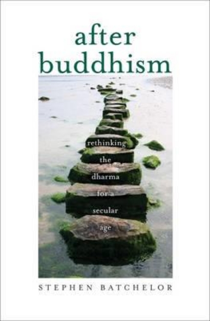 Picture of After Buddhism