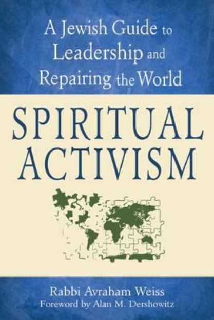 Picture of Spiritual Activism