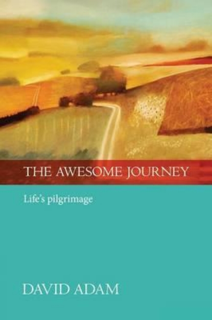 Picture of The Awesome Journey