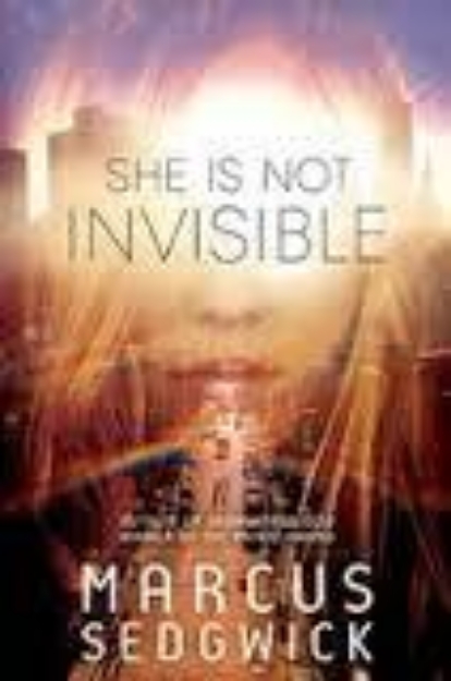 Picture of She is not invisible