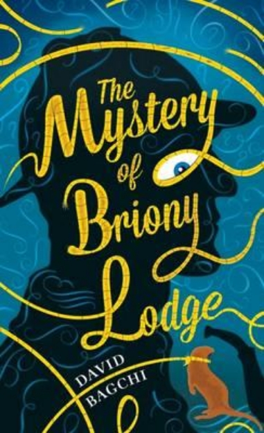 Picture of The Mystery of Briony Lodge