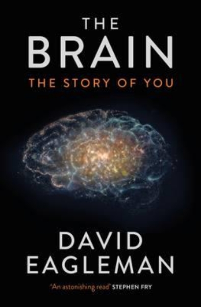 Picture of The Brain: The Story of You
