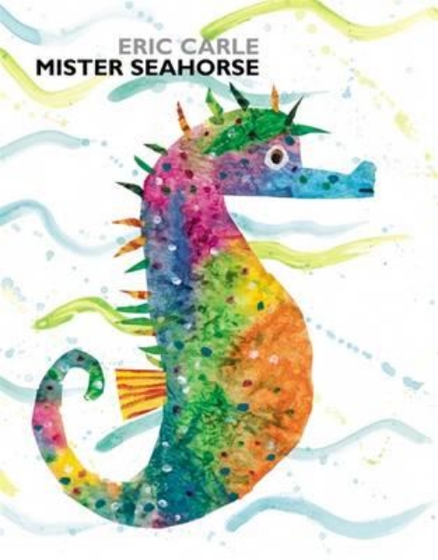 Picture of Mister Seahorse
