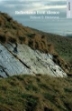 Picture of Reflections from silence