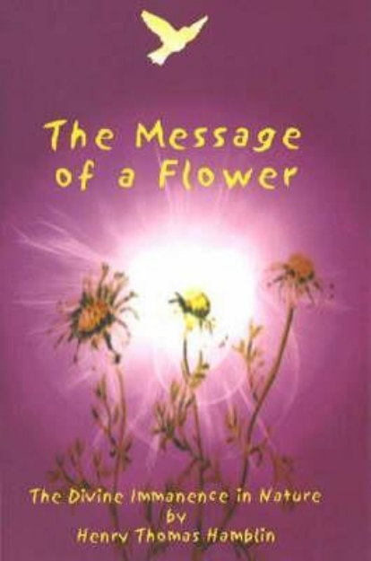 Picture of The Message of a Flower: The Divine Imma