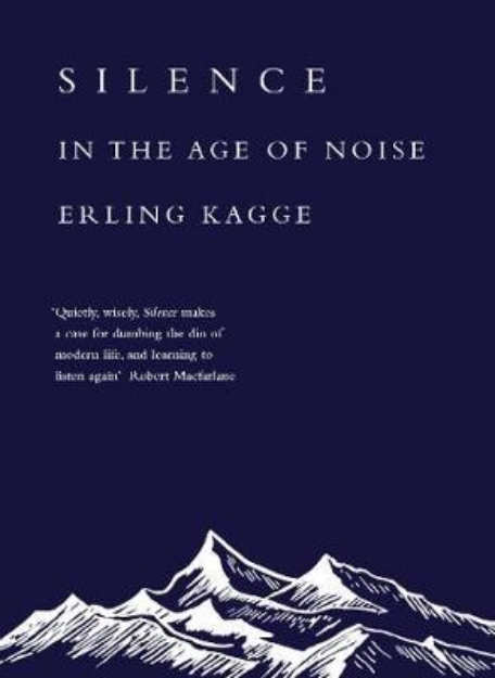 Picture of Silence: In the Age of Noise