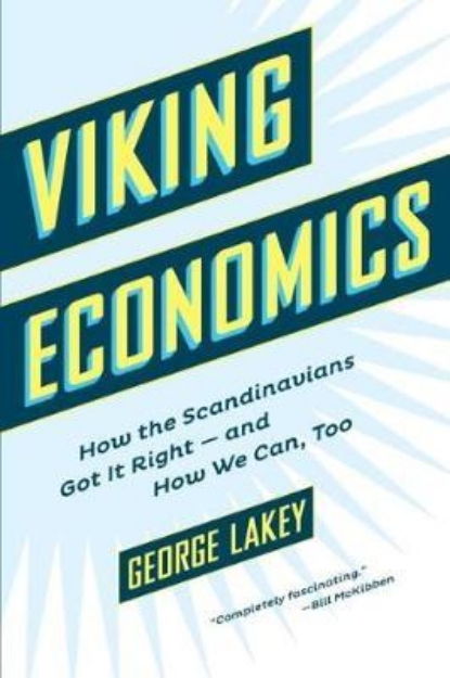Picture of Viking Economics