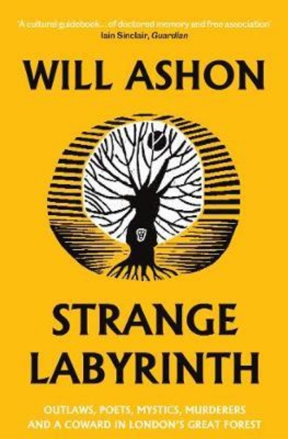 Picture of Strange Labyrinth