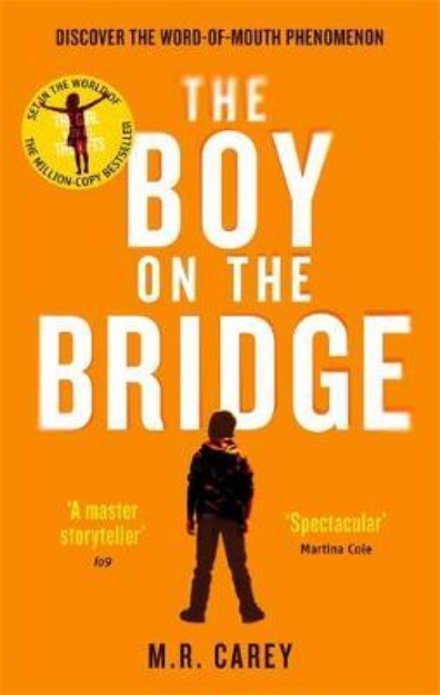 Picture of The Boy on the Bridge