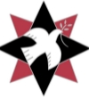 Picture of Star Enamel Badge