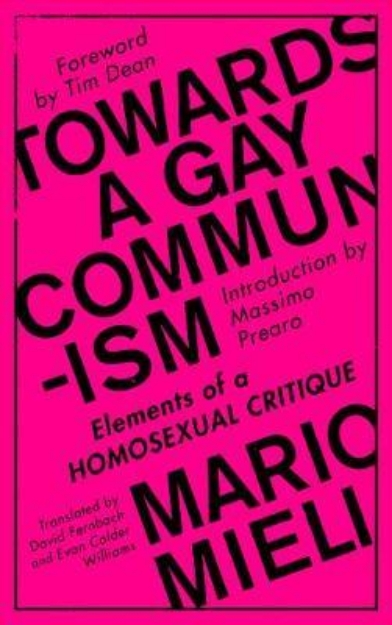 Picture of Towards a Gay Communism: Elements of a Homosexual Critique