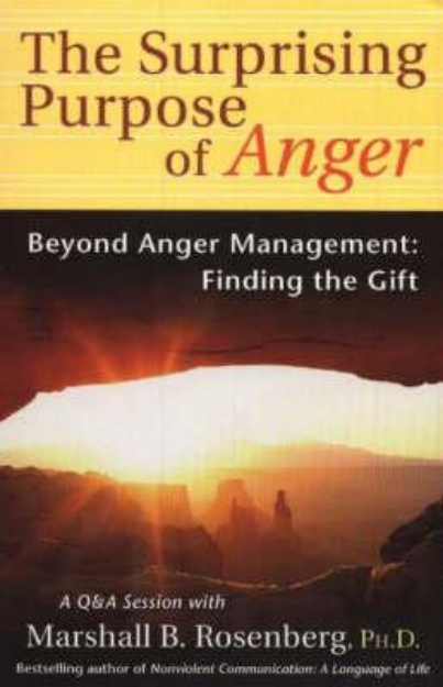 Picture of The Surprising Purpose of Anger