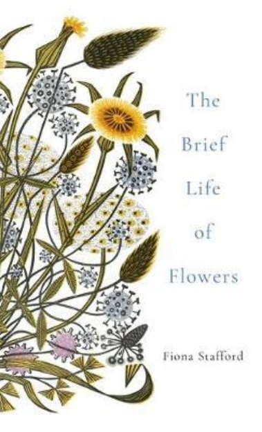 Picture of The Brief Life of Flowers