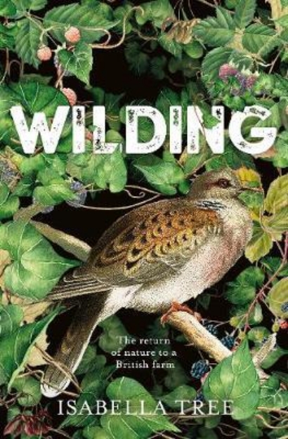 Picture of Wilding: The Return of Nature to a Briti