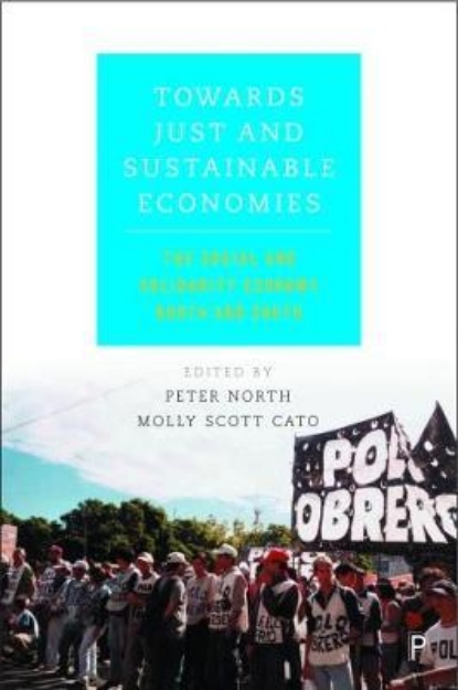 Picture of Towards just and sustainable economies: the social and solidarity economy, north and south