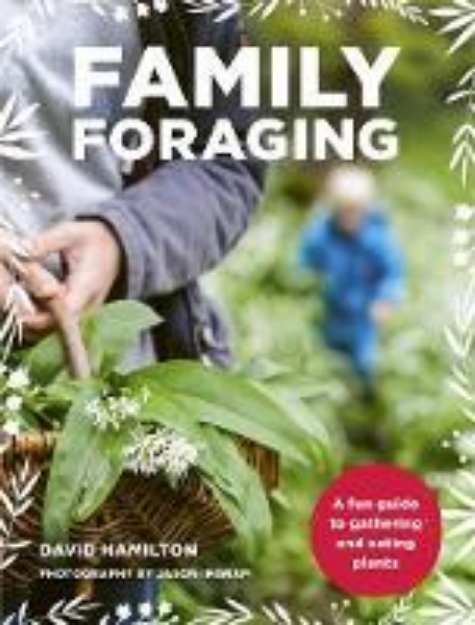 Picture of Family Foraging: A fun guide to gatherin