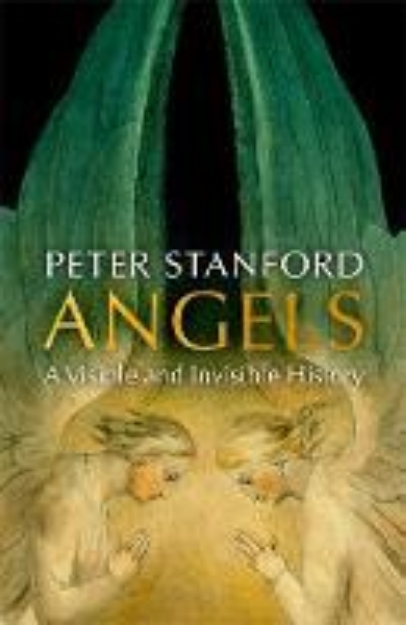 Picture of Angels: A Visible and Invisible History