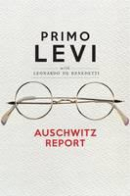 Picture of Auschwitz Report