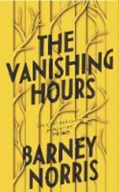 Picture of The Vanishing Hours