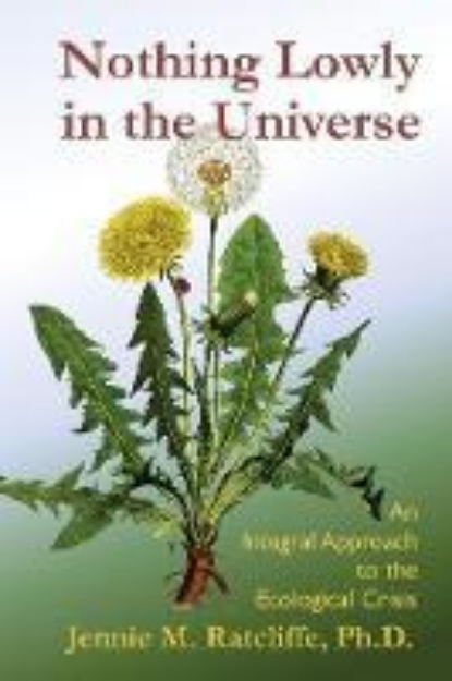 Picture of Nothing Lowly in the Universe: An Integral Approach to the Ecological Crisis