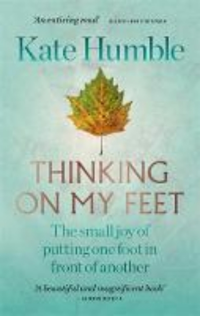 Picture of Thinking on My Feet: The small joy of pu