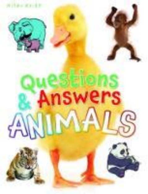 Picture of Questions and Answers Animals