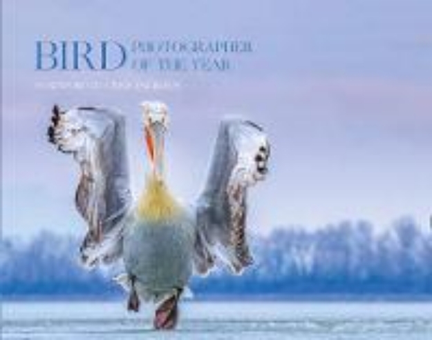 Picture of Bird Photographer of the Year: Collectio