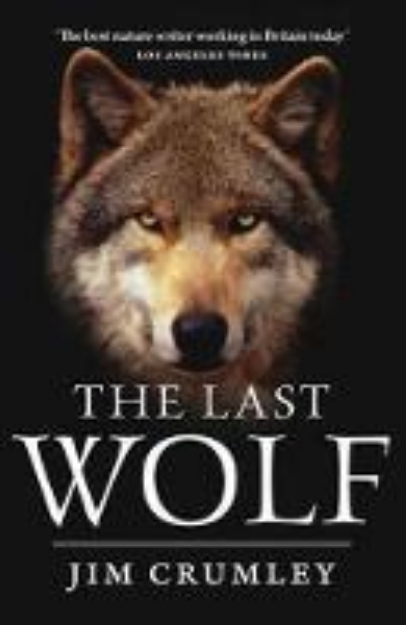 Picture of The Last Wolf