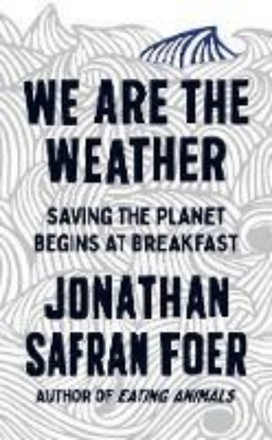 Picture of We are the Weather: Saving the Planet Be