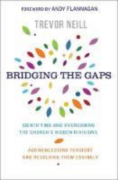 Picture of Bridging the Gaps: Identifying and overc