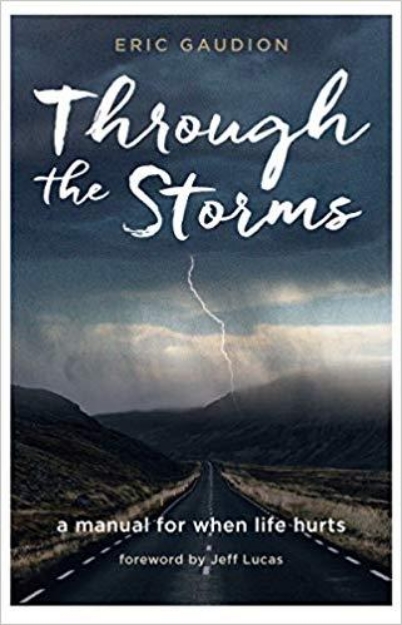 Picture of Through the Storms: A manual for when li