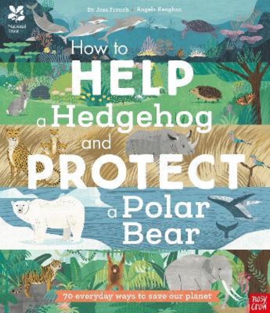 Picture of National Trust: How to Help a Hedgehog a