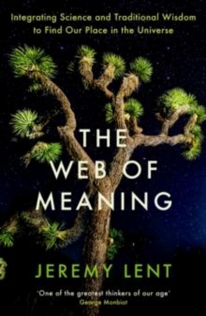 Picture of The Web of Meaning: Integrating Science