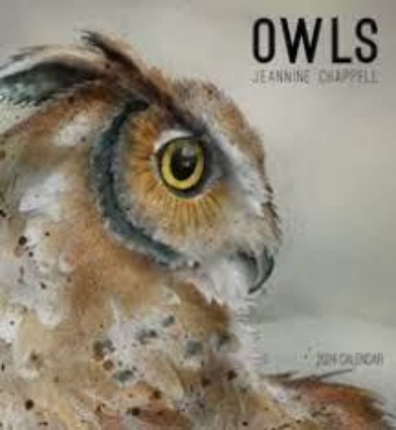 Picture of Owls: Jeannine Chappell 2024 Wall Calend