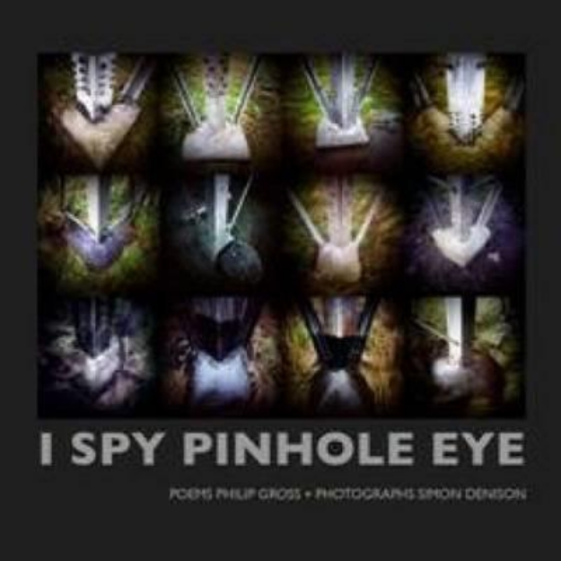 Picture of I Spy Pinhole Eye