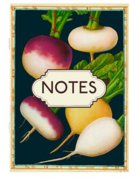 Picture of Notebook Madame Treacle Turnip