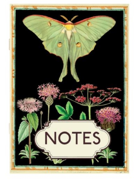 Picture of Notebook Madame Treacle Green Moth