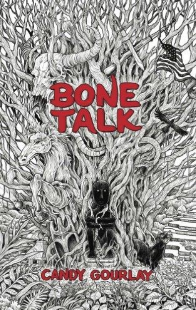 Picture of Bone Talk