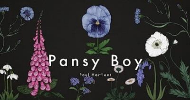 Picture of Pansy Boy