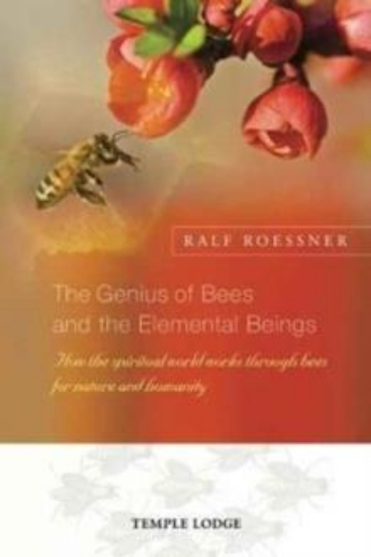 Picture of Genius of Bees and the Elemental Beings