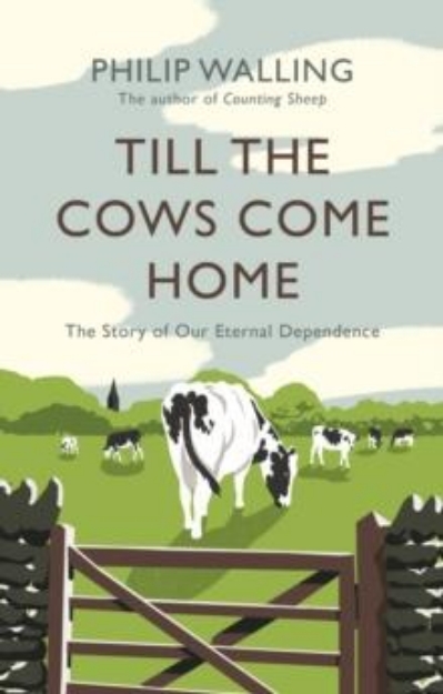 Picture of Till the Cows Come Home