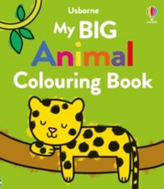 Picture of My Big Animal Colouring Book