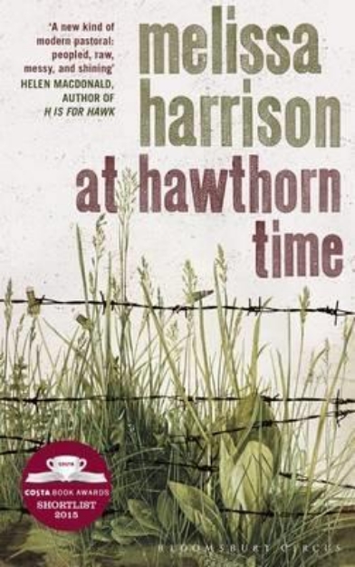 Picture of At Hawthorn Time