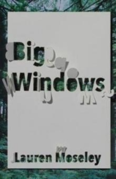 Picture of Big Windows