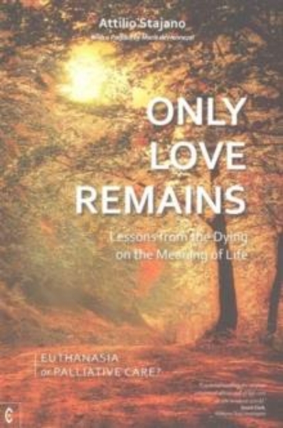 Picture of Only Love Remains : Lessons from the Dying on the Meaning of Life - Euthanasia or Palliative Care?