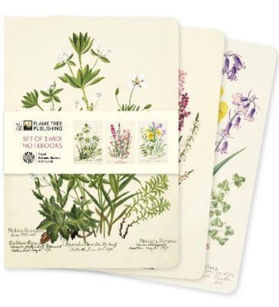 Picture of Royal Botanic Garden Edinburgh Set of 3